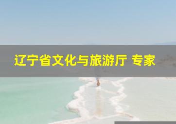 辽宁省文化与旅游厅 专家